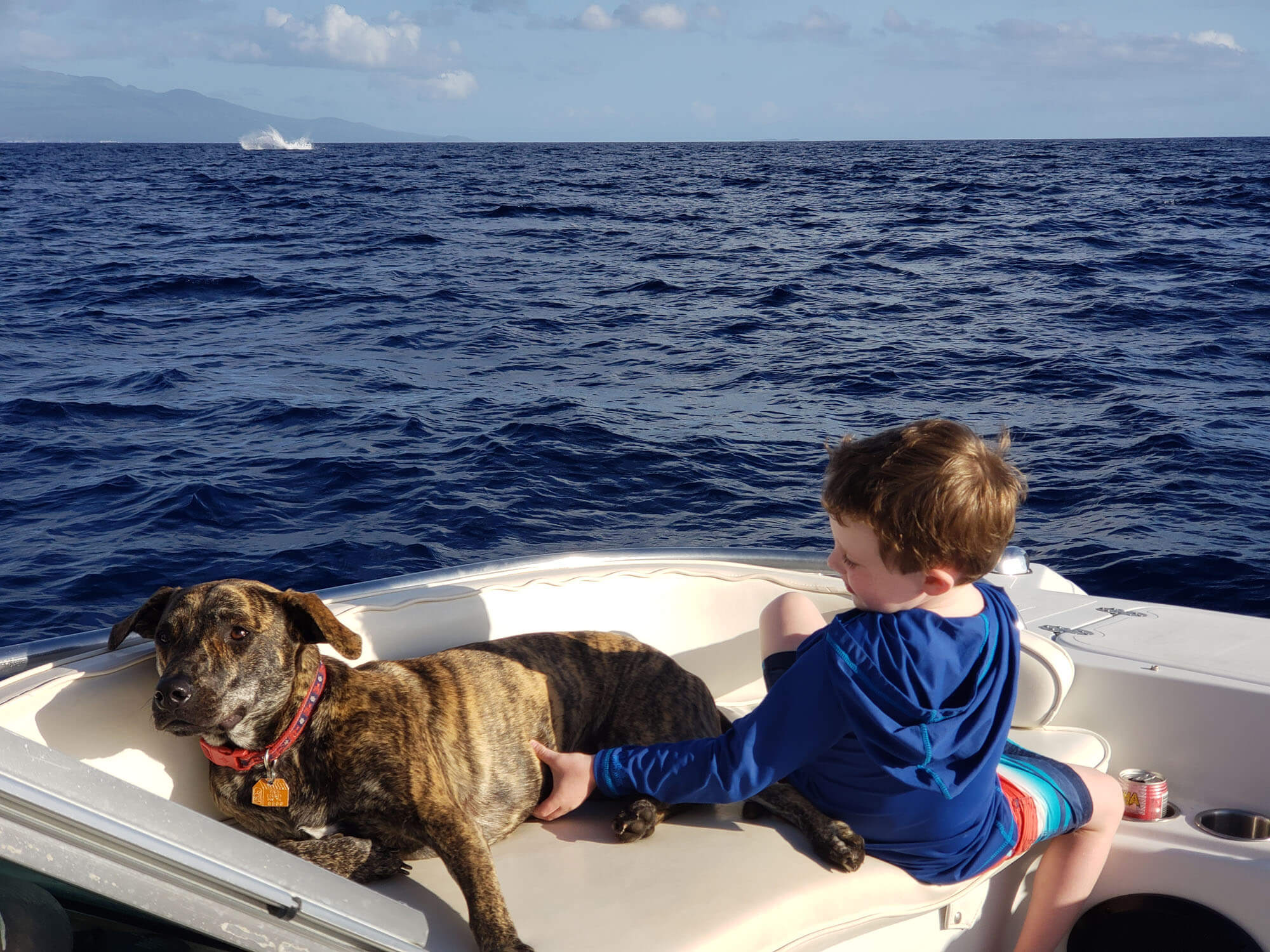 Maui Family Vacation Boat Tour