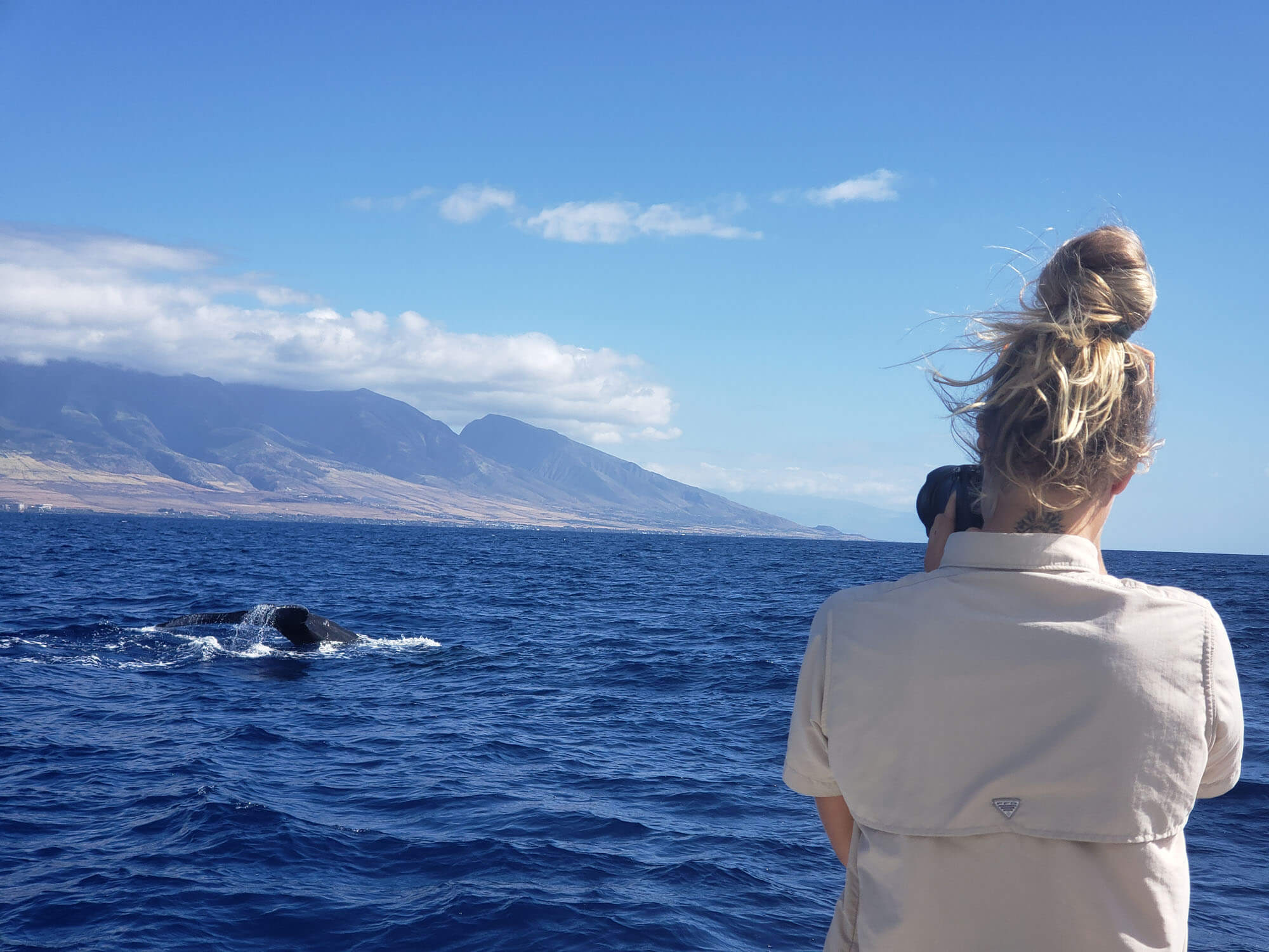 Maui Whale Watching Adventures