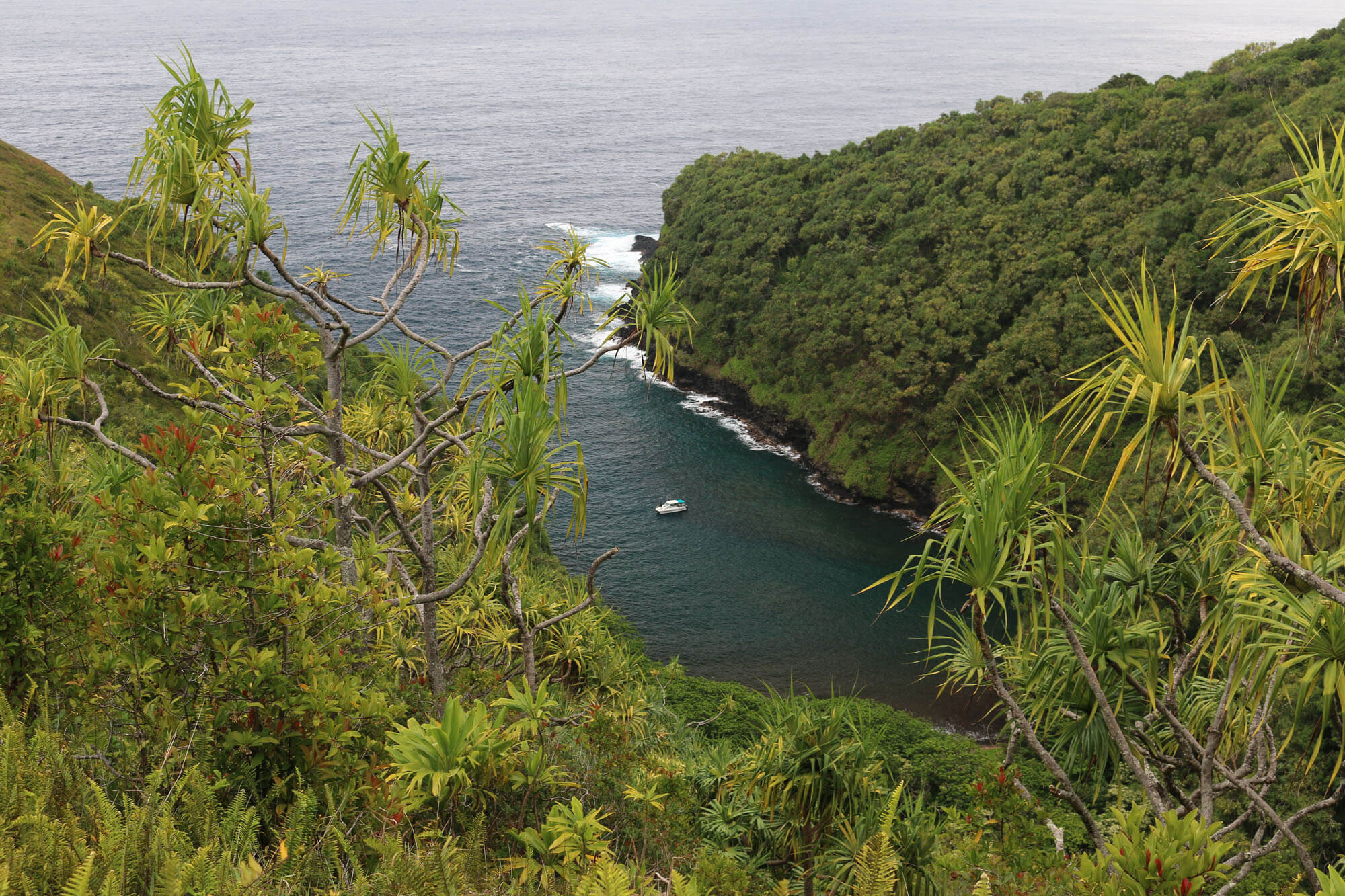 Beautiful Scenery on Maui