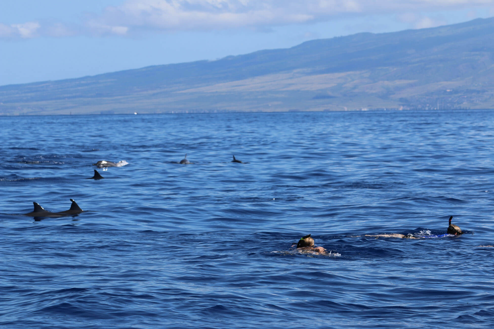 Boat Charter Tours on Maui