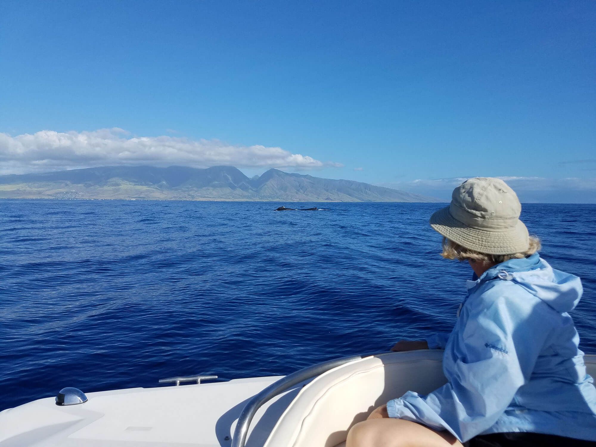 Boat Tours on the Island of Maui