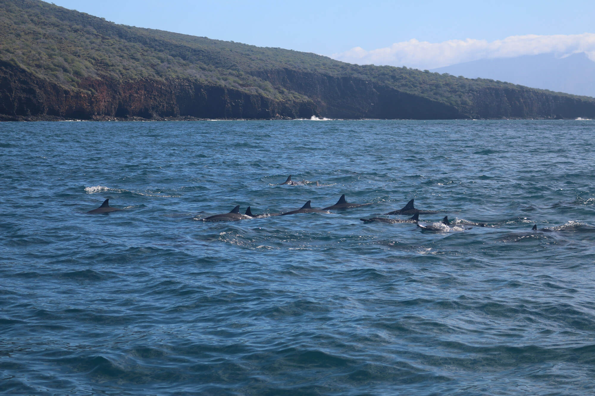 Fun Vacation on the Island of Maui