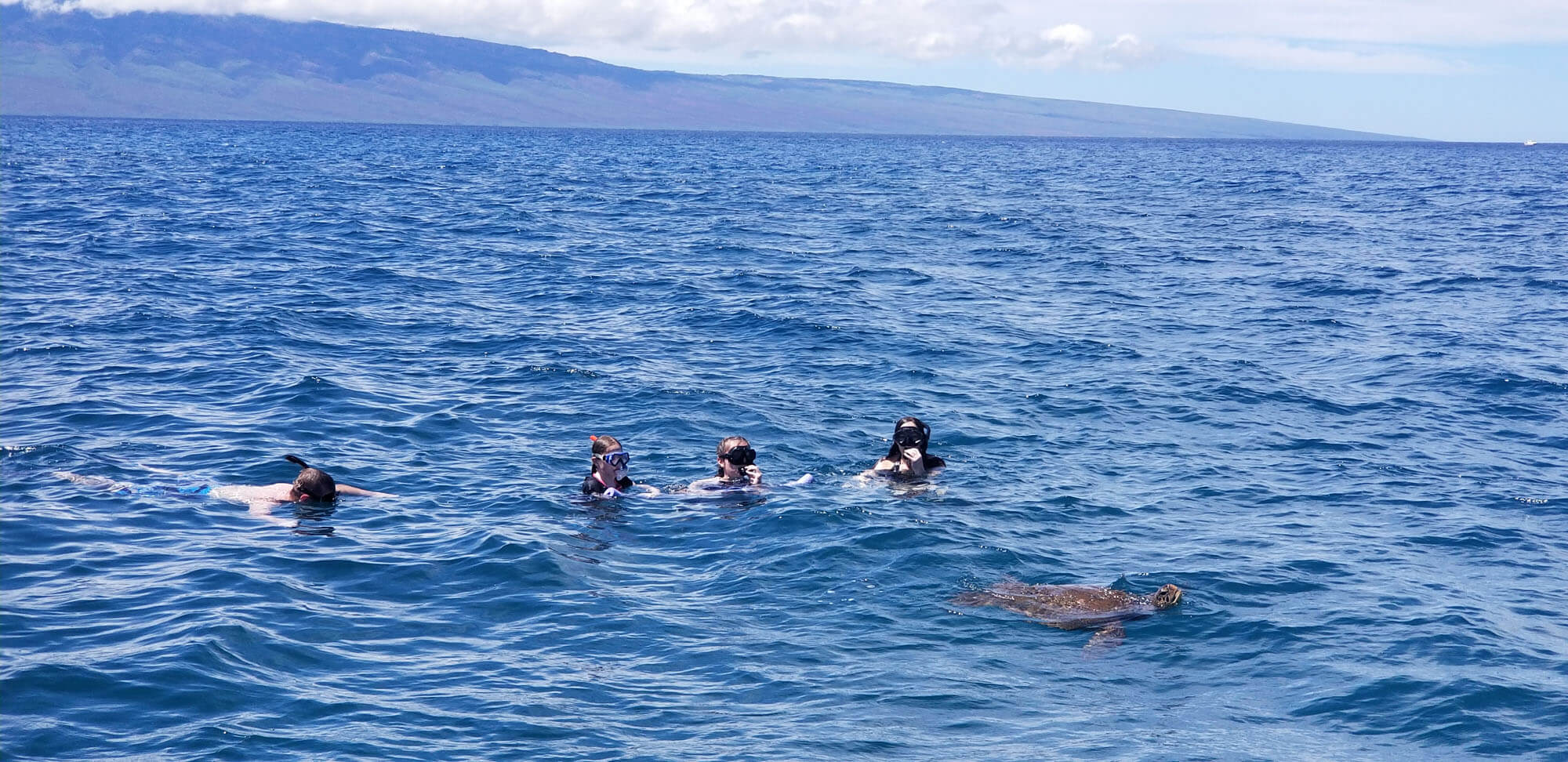 Snorkeling Tours in Maui