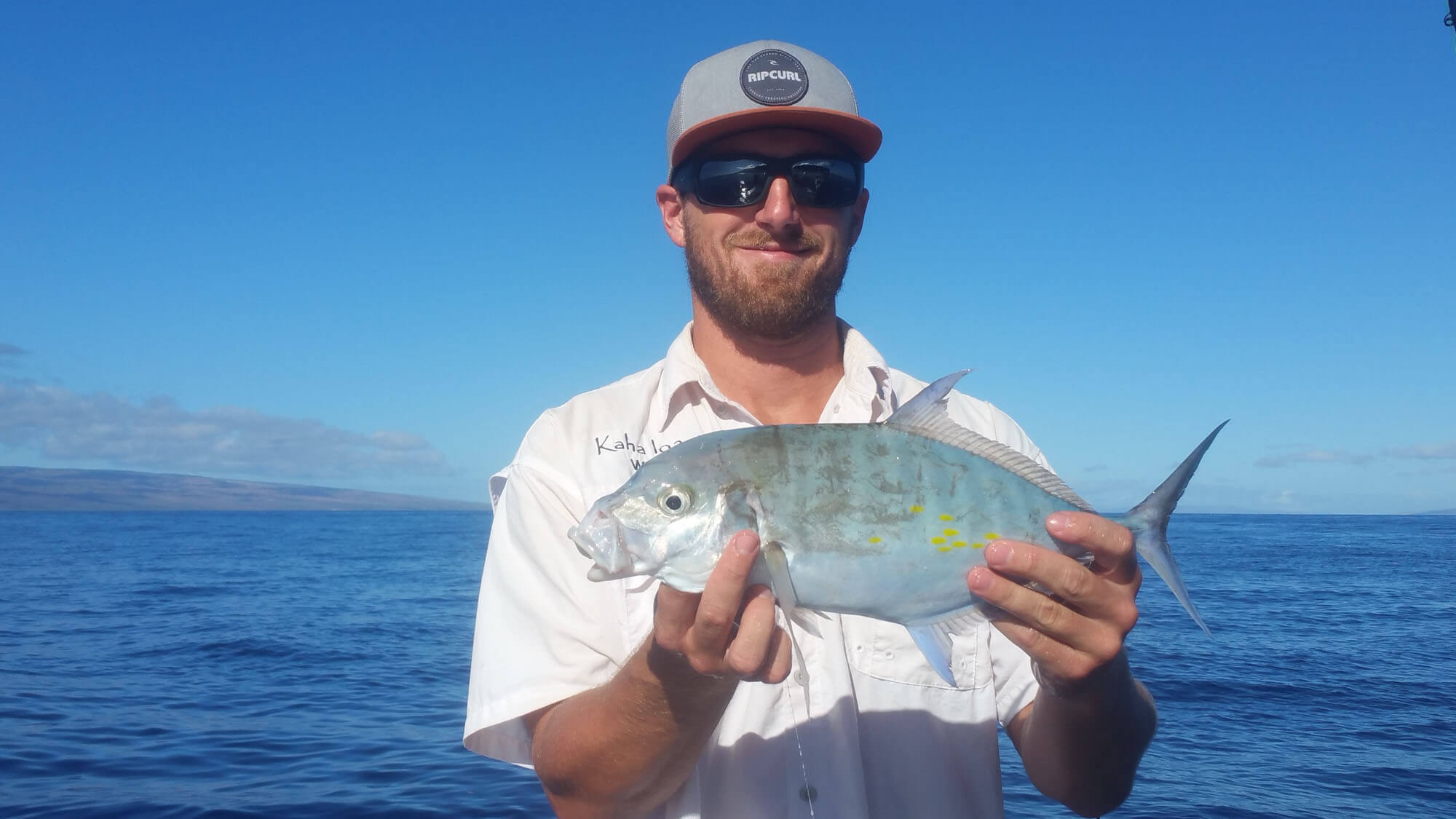 Will With Small Fish